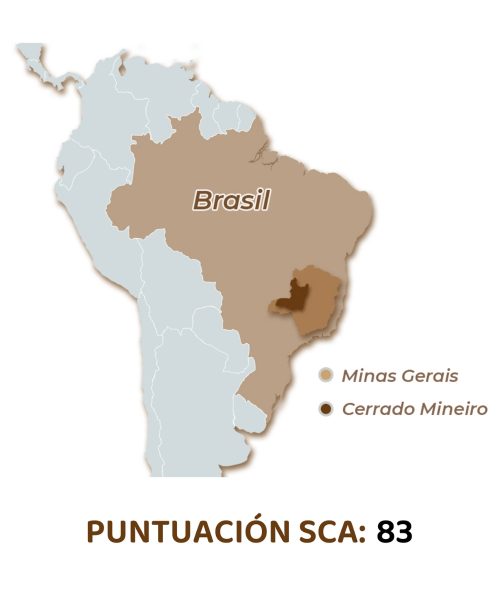 puntuacion-sca-brasil-seixal