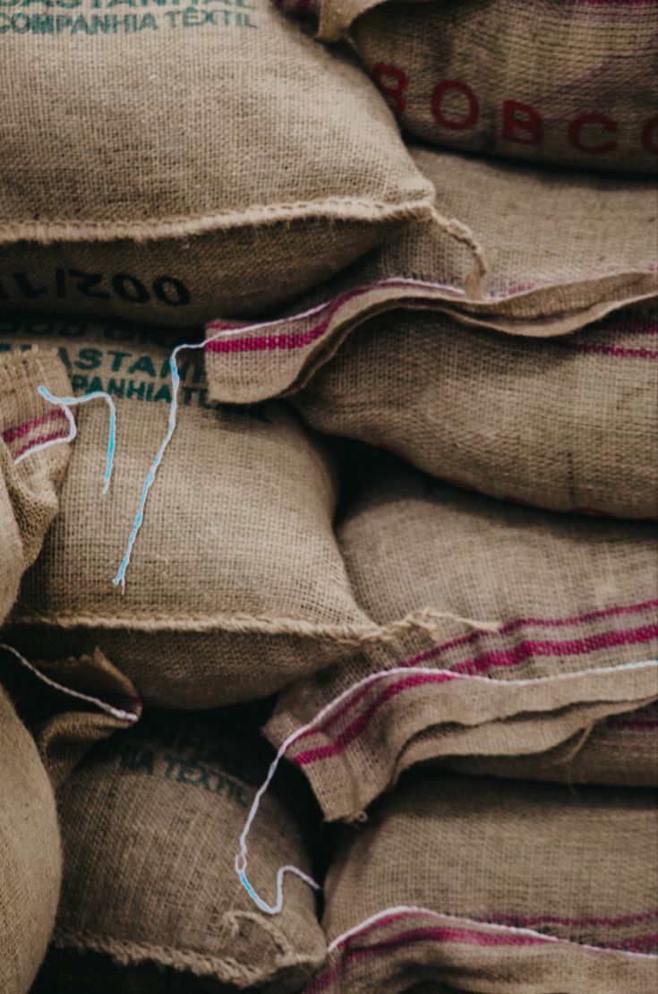 blog1 arabica-y-robusta