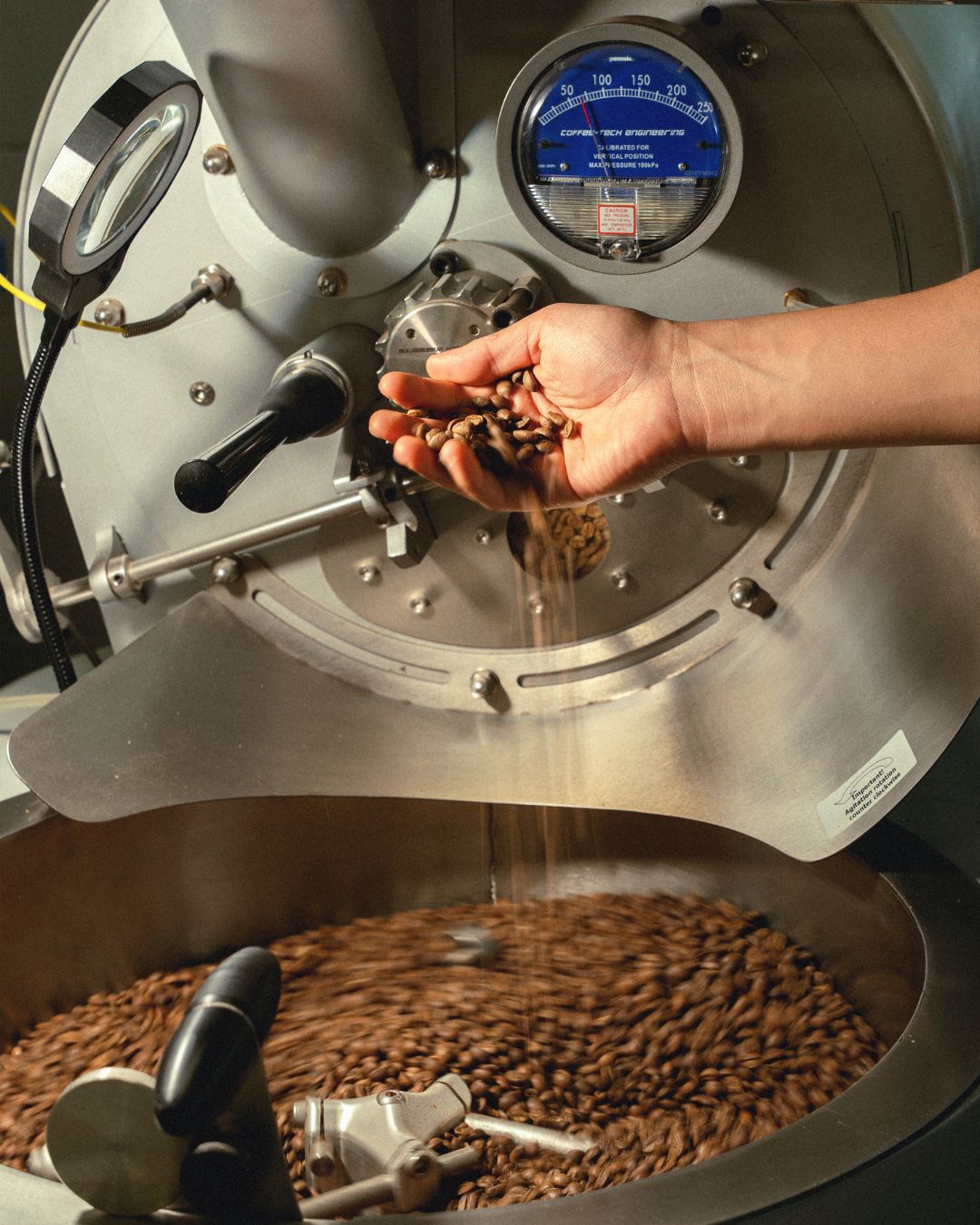 Por qué el café de especialidad sabe diferente