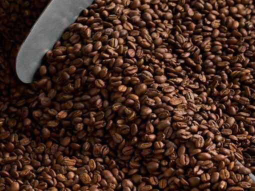 Diferencias claves entre Arábica y Robusta. Diferencias claves entre Arábica y Robusta.