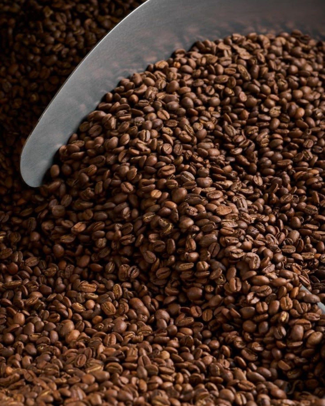 robusta-arabica-seixal