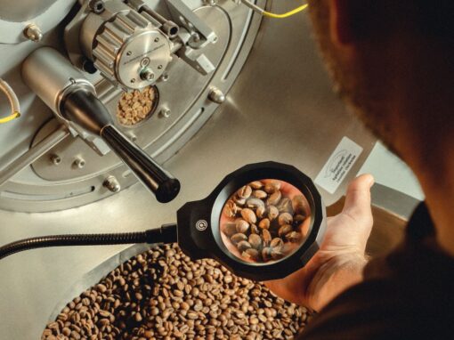 Cuando la Inteligencia Artificial se Alía con el Café de Especialidad